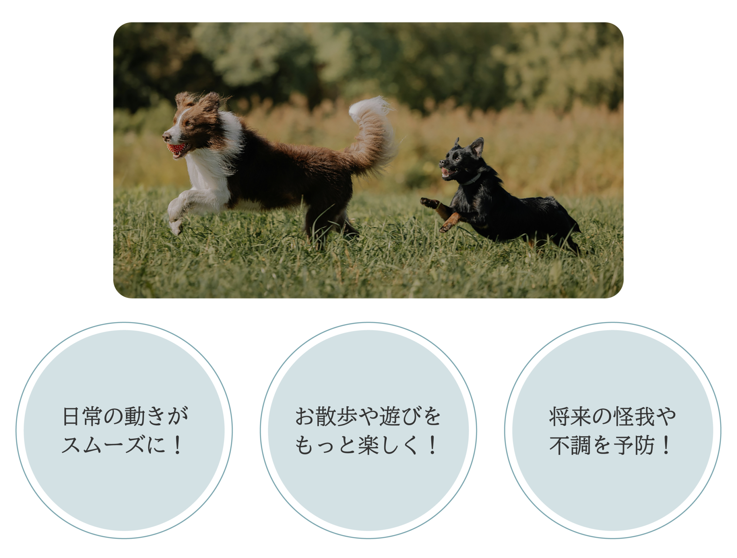 こんな変化が期待できます